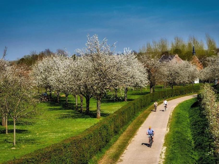 Vakantiewoning Hoogveld Kortessem 외부 사진