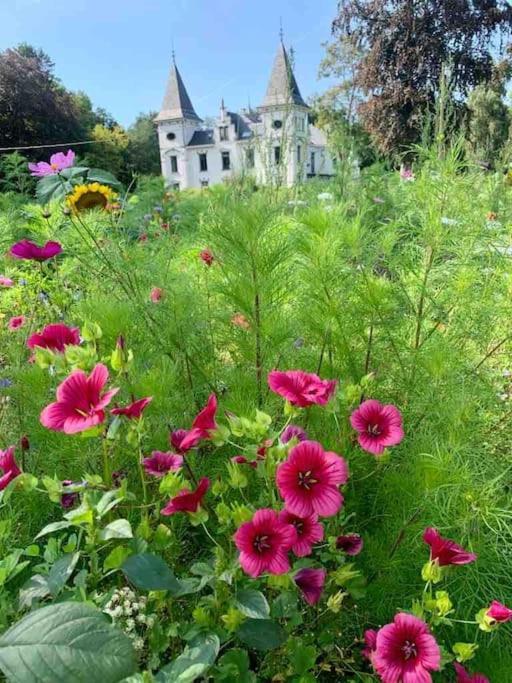 Vakantiewoning Hoogveld Kortessem 외부 사진